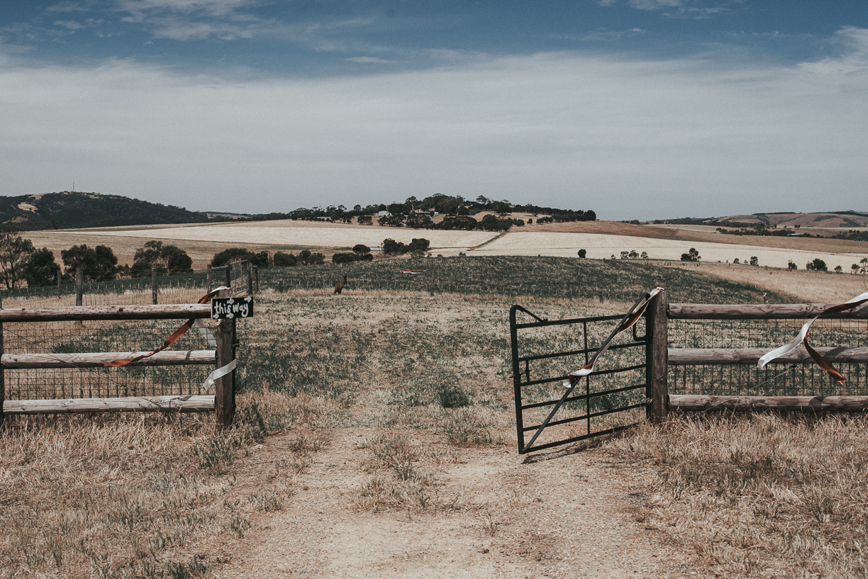 B and C (4 of 524).jpg