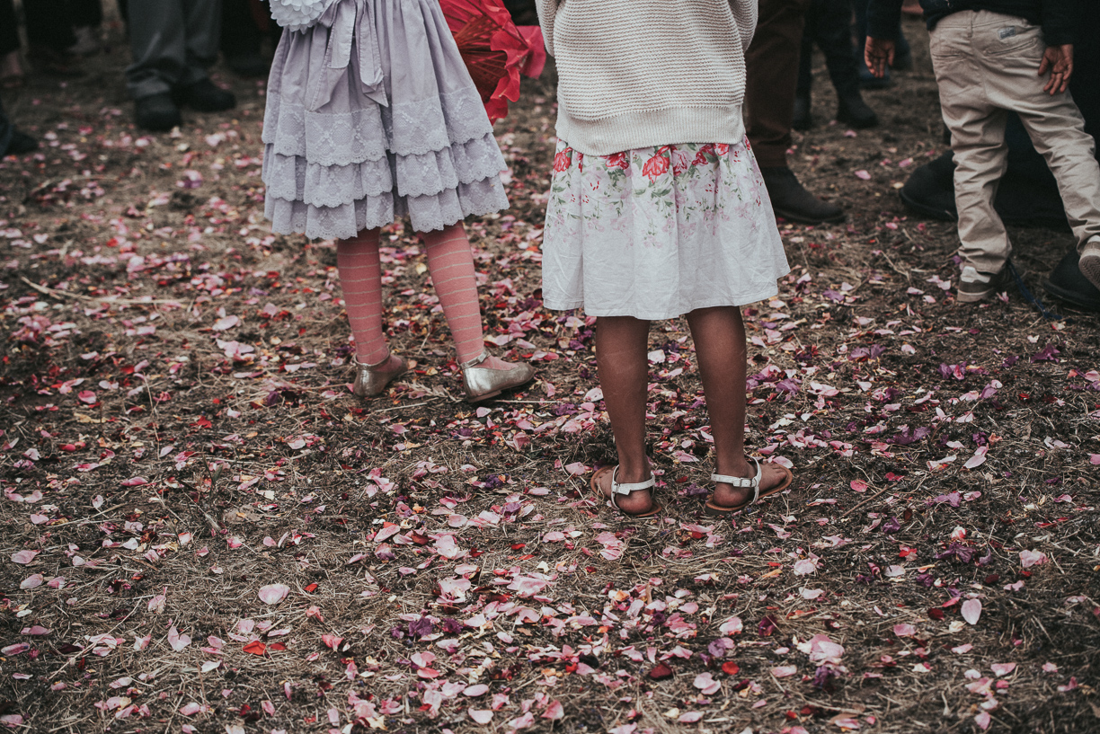 B and C (371 of 524).jpg