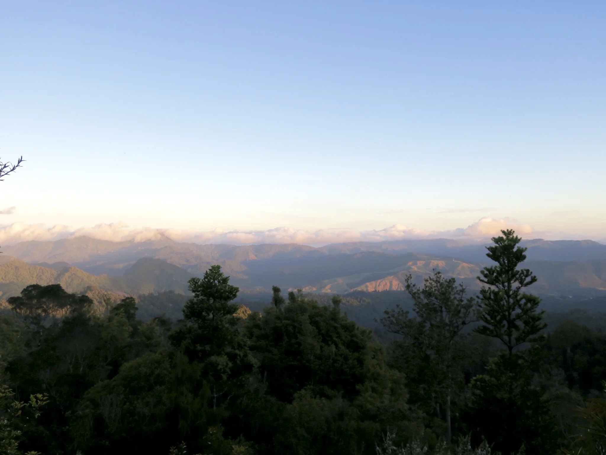Coromandel speaks for itself
