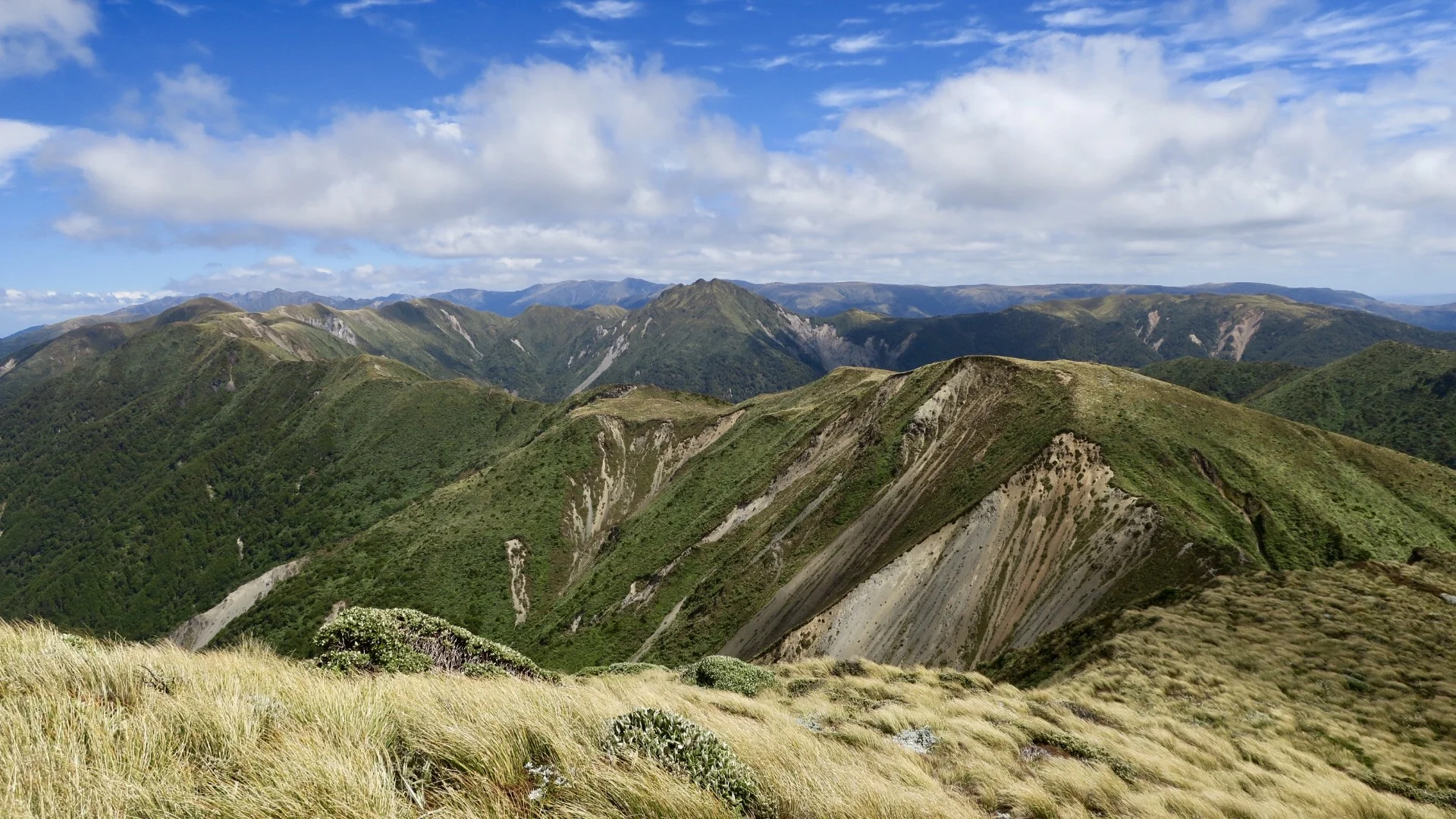 Beautiful, but take a look at the tussocks pressed horizontal by the wind
