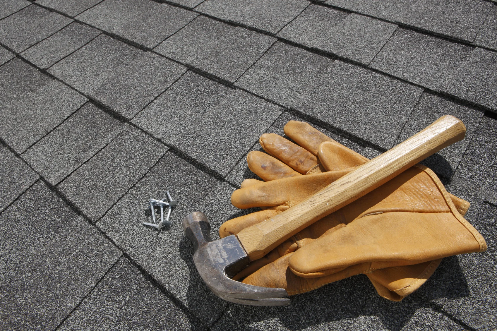 iStock_000006845844_Medium.jpg