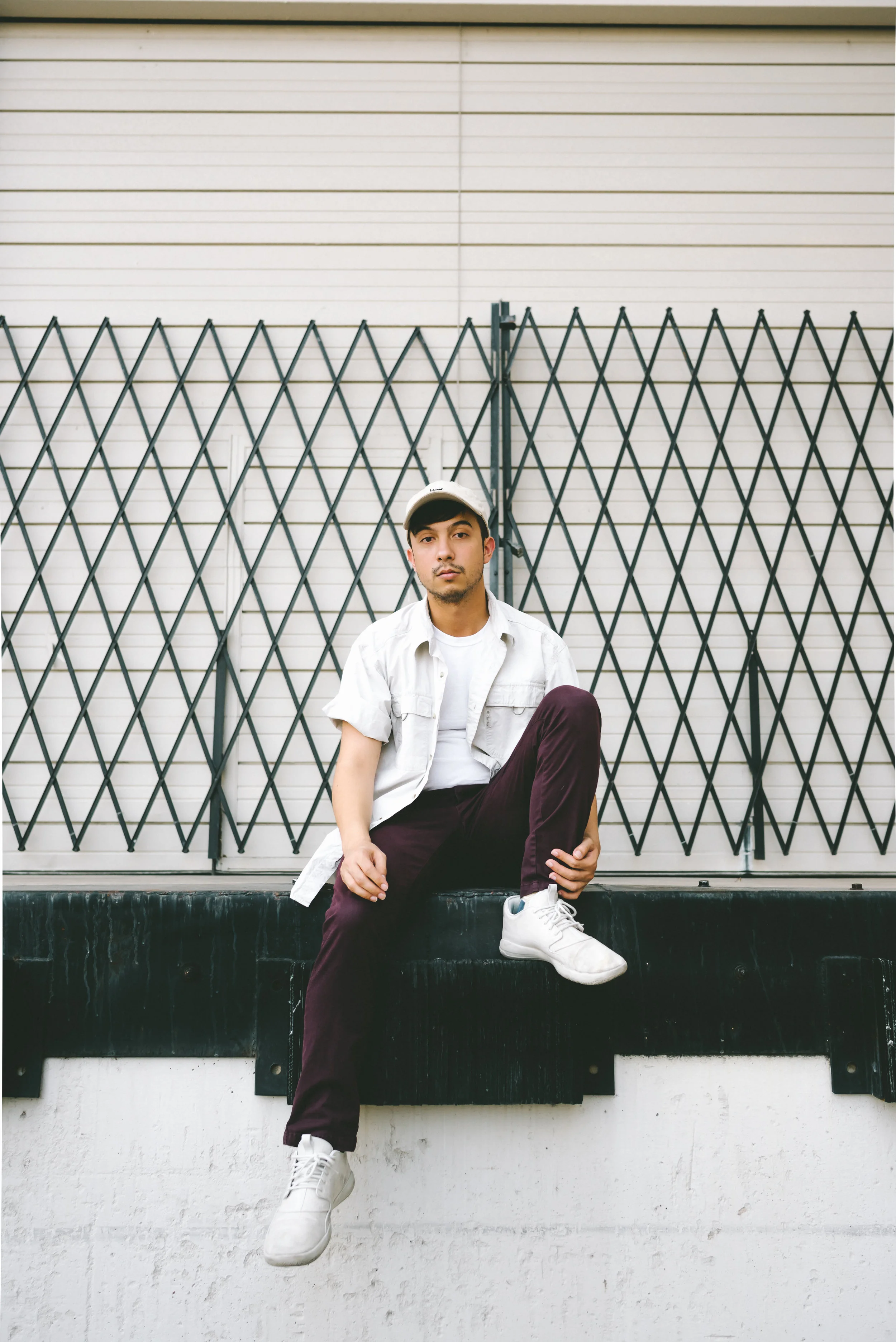 p.wolf-11.jpg