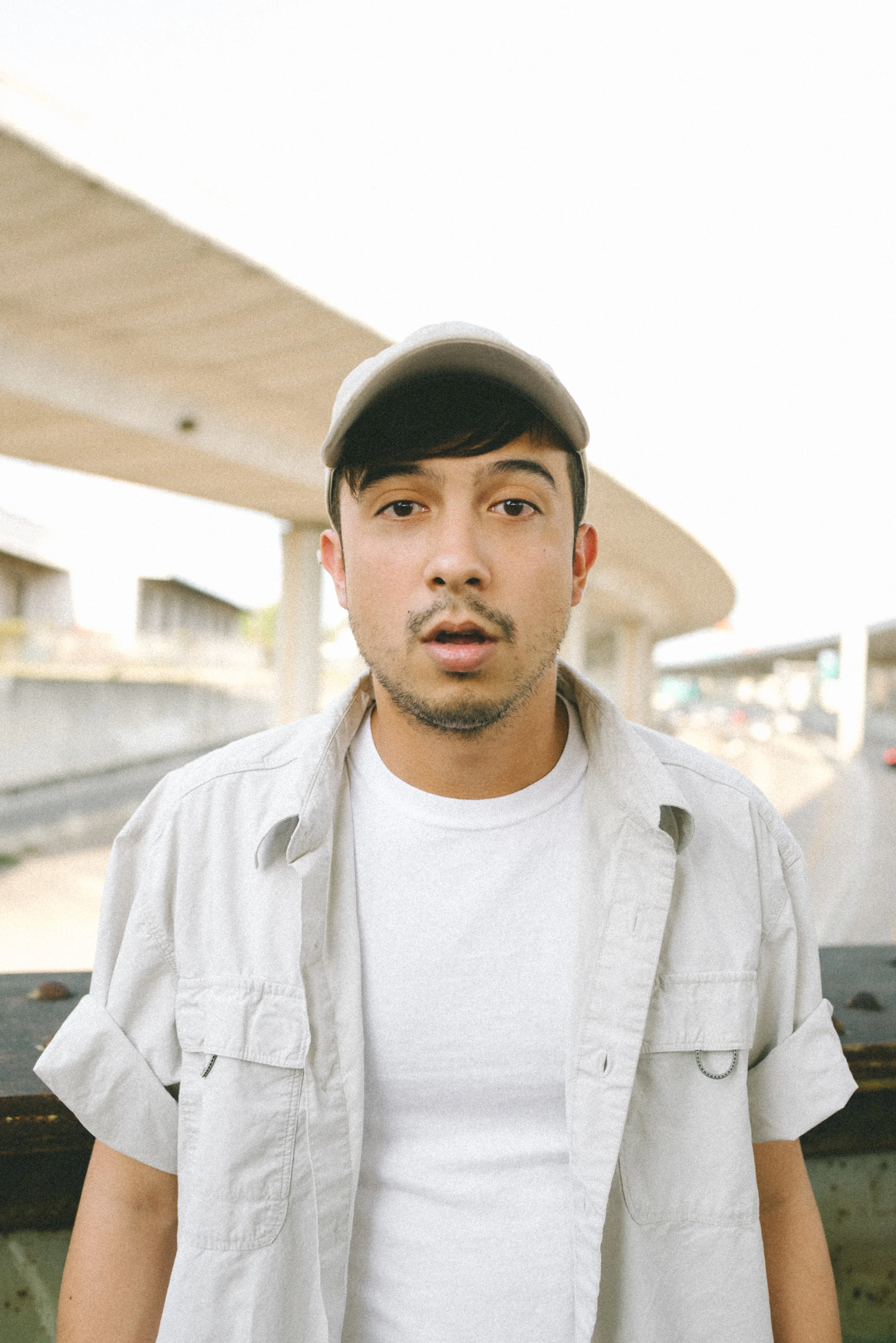 p.wolf-12.jpg