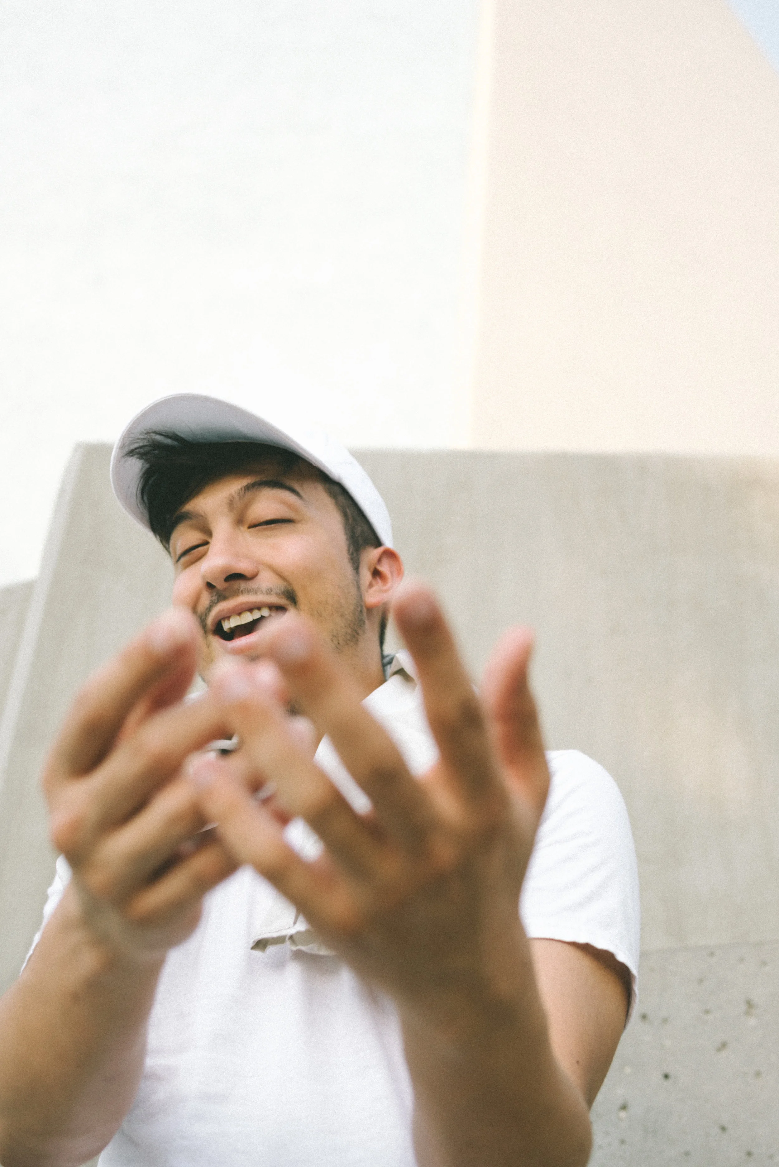 p.wolf-17.jpg