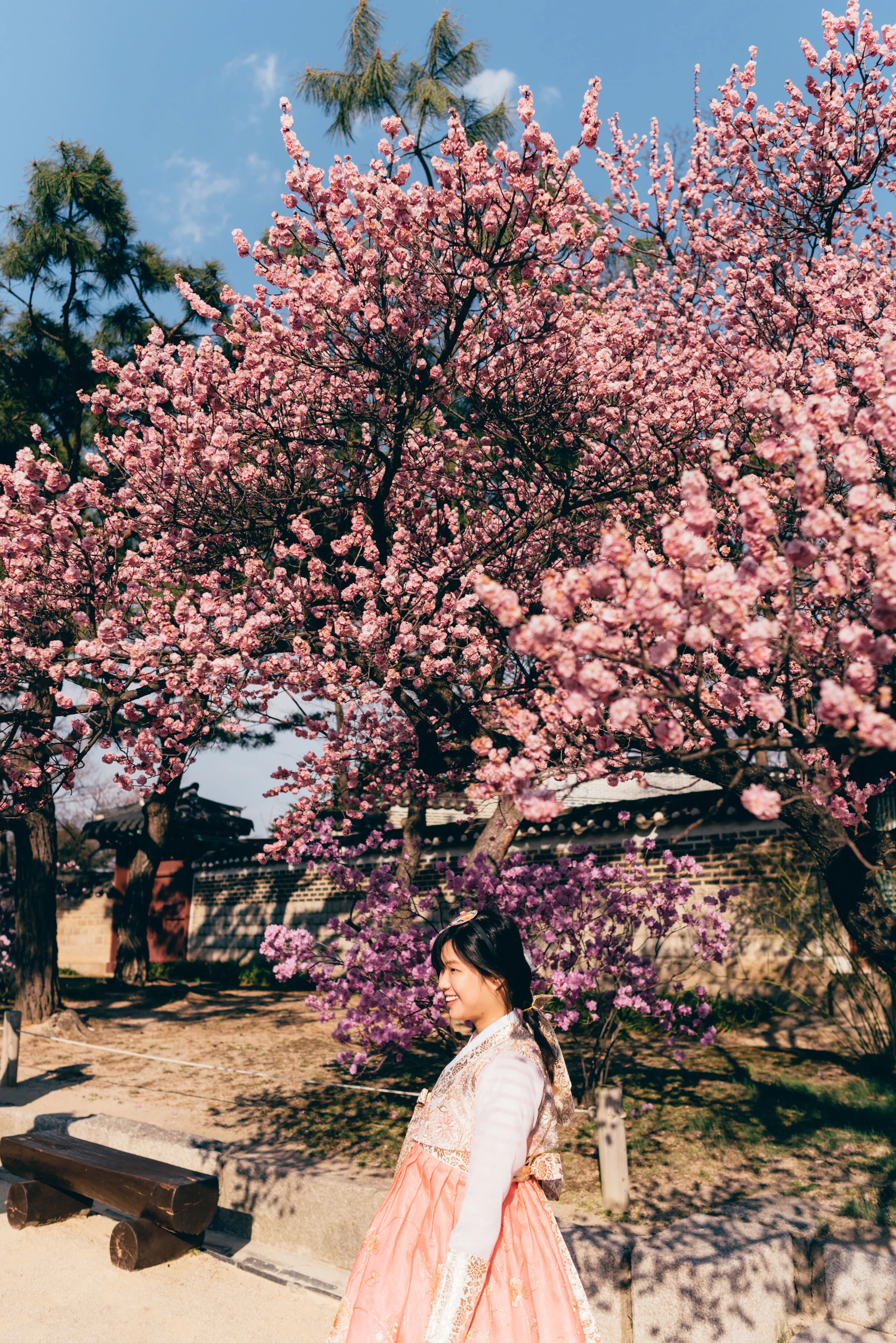 SEOUL-5.jpg