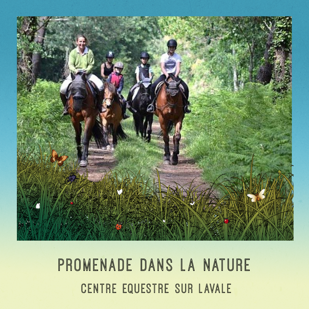 Equestre.png