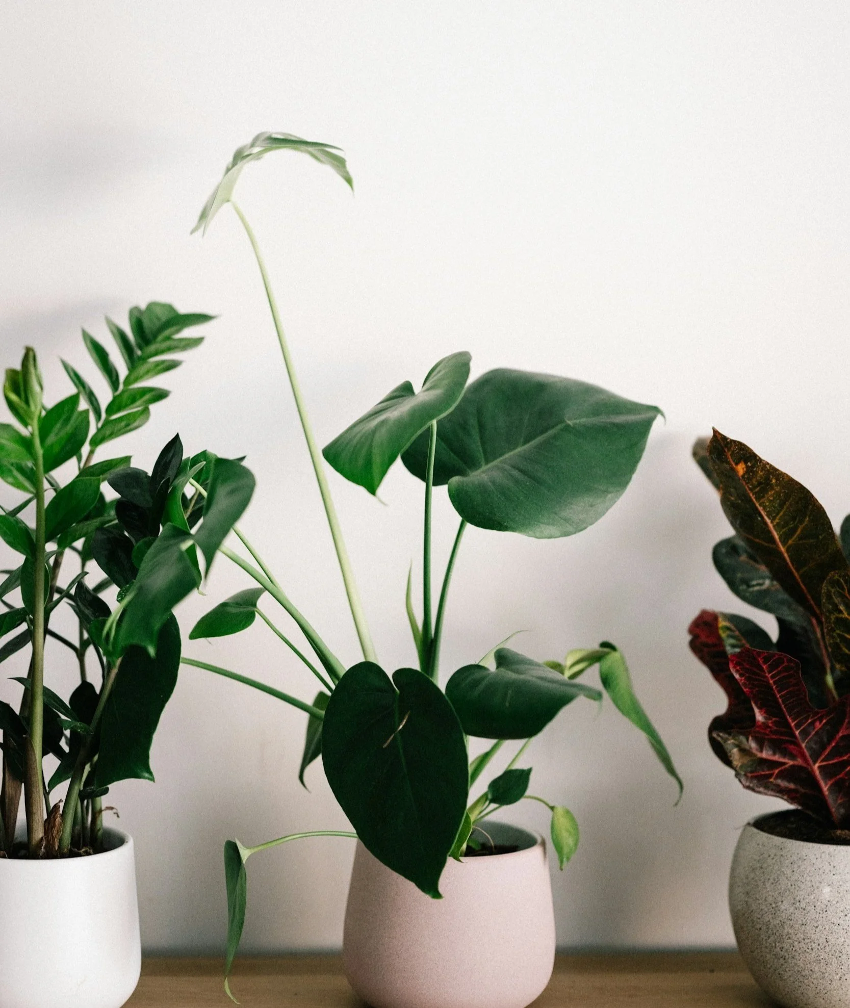 Creative Courage Writing Intensive — Self-Study