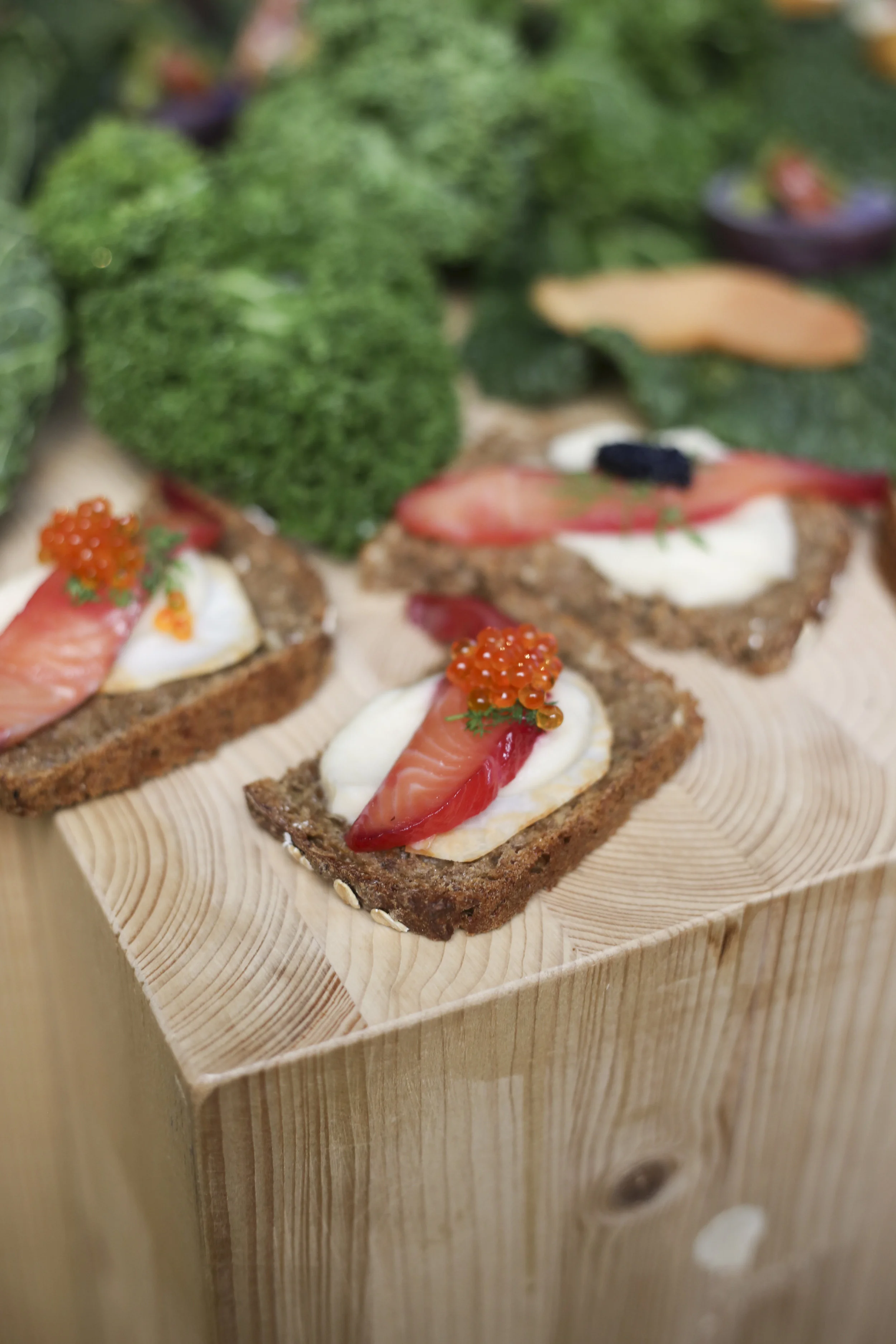 190220_masayo_bogedal_ediblelandscapte_vejle2946.jpg