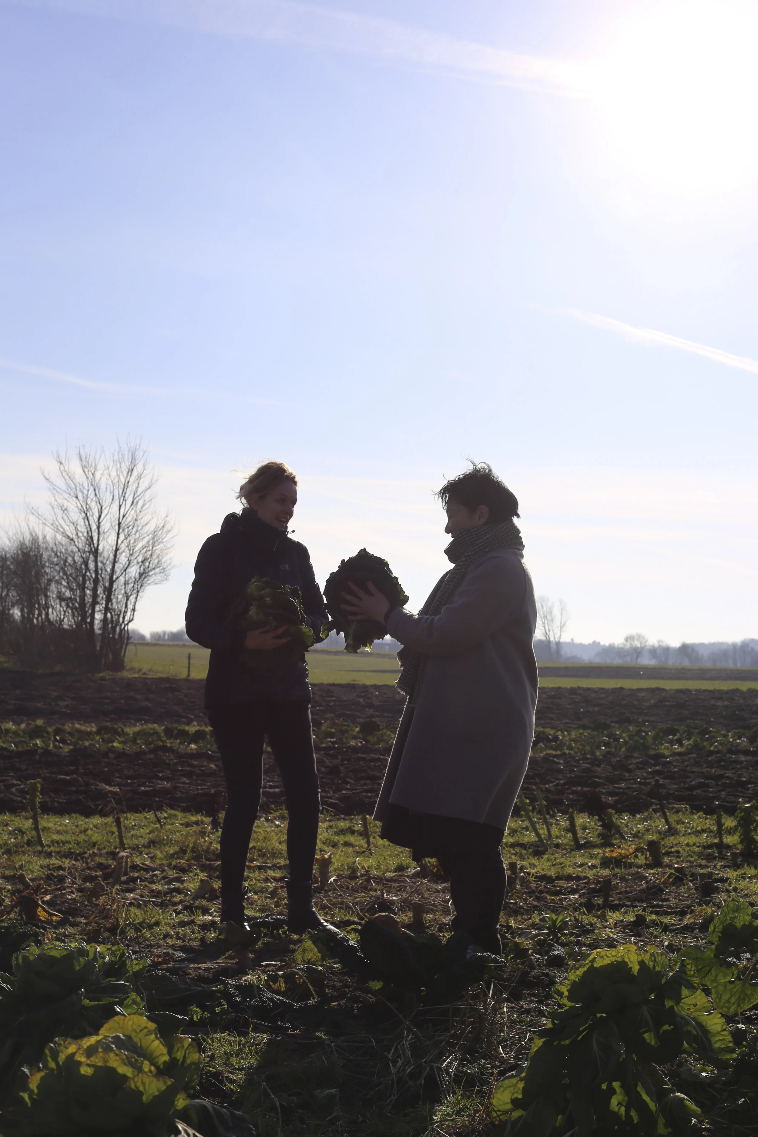 190220_masayo_bogedal_ediblelandscapte_vejle2969.jpg