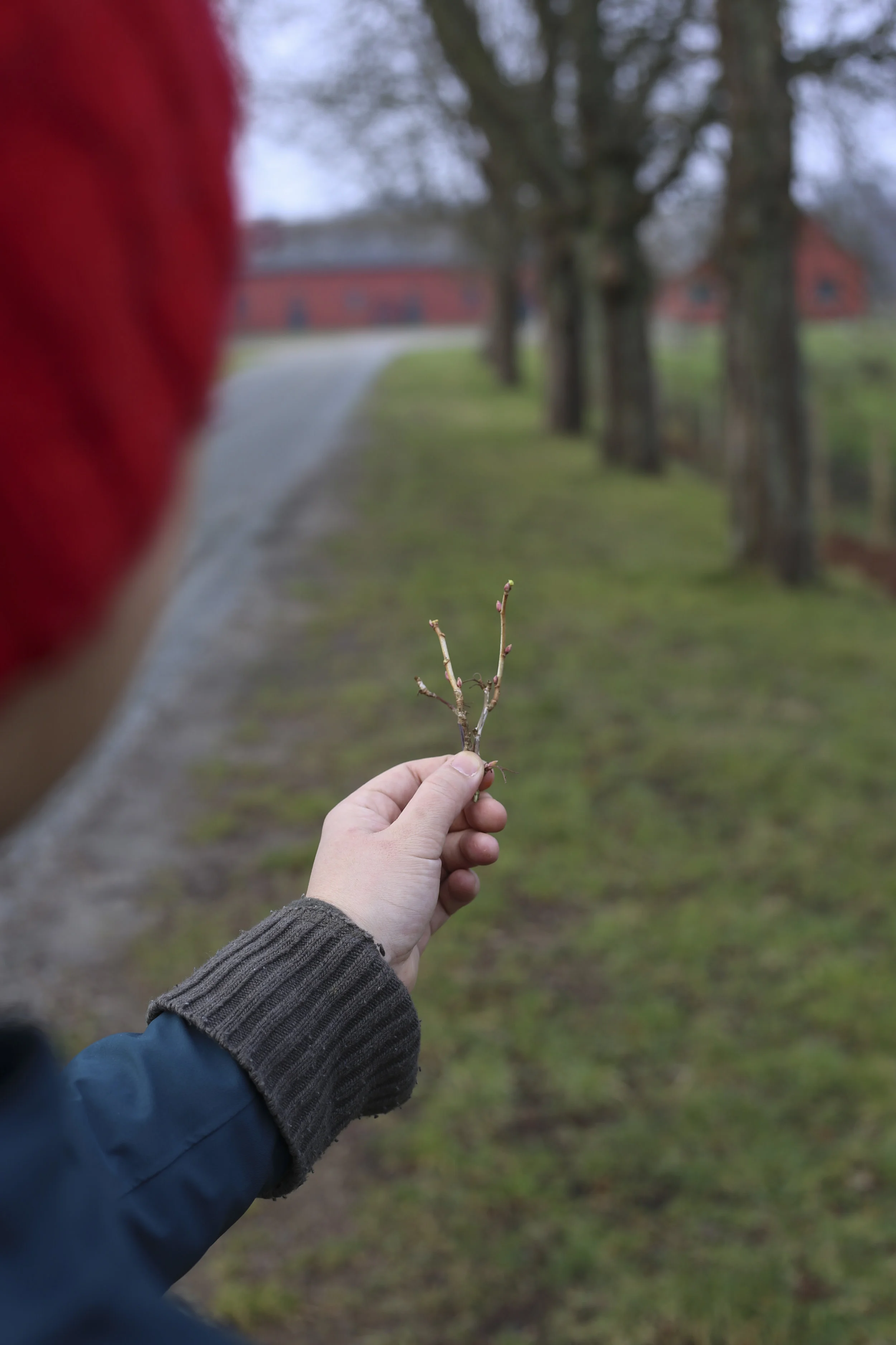 190220_masayo_bogedal_ediblelandscapte_vejle2816.jpg