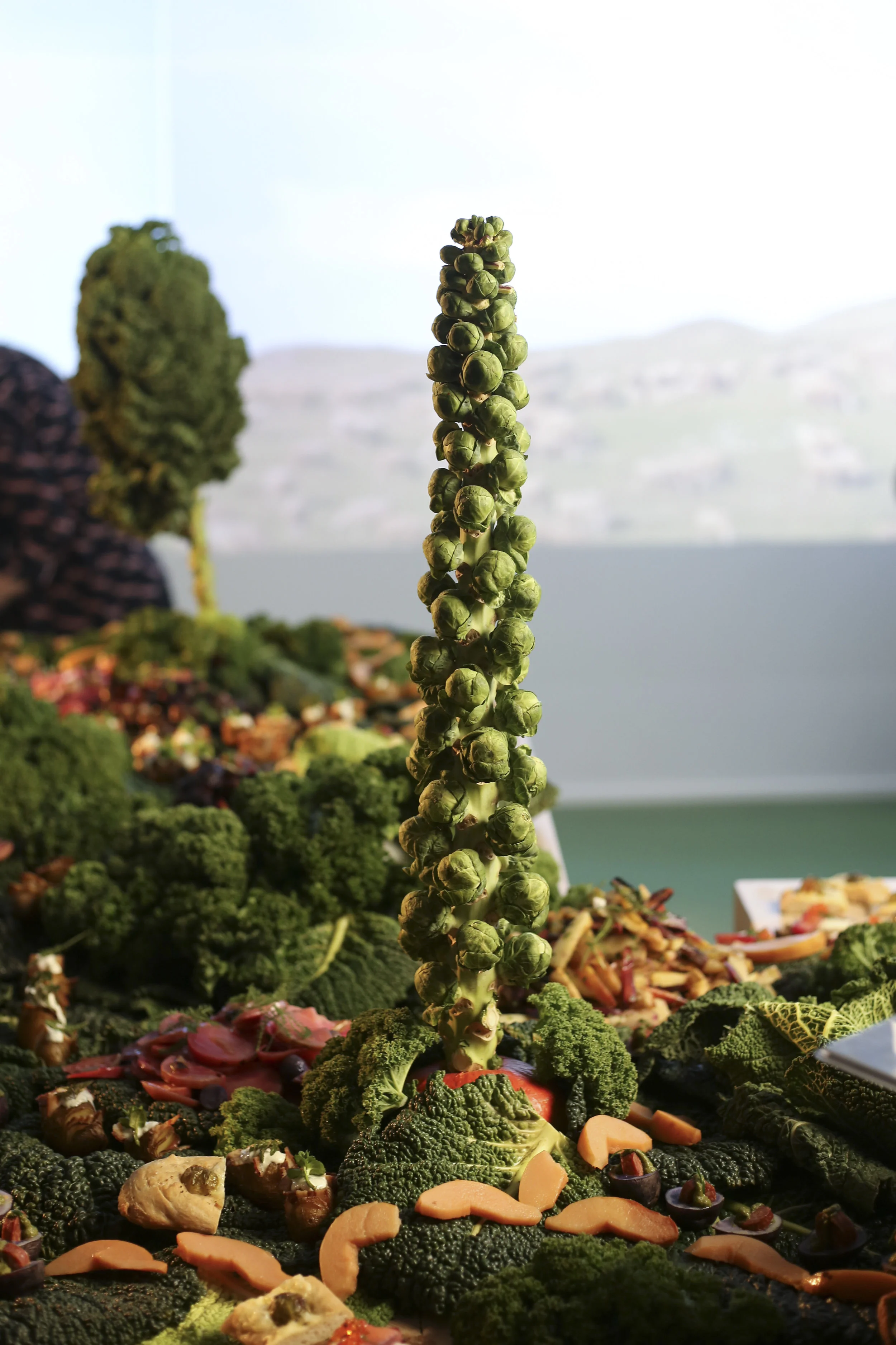 190220_masayo_bogedal_ediblelandscapte_vejle2958.jpg