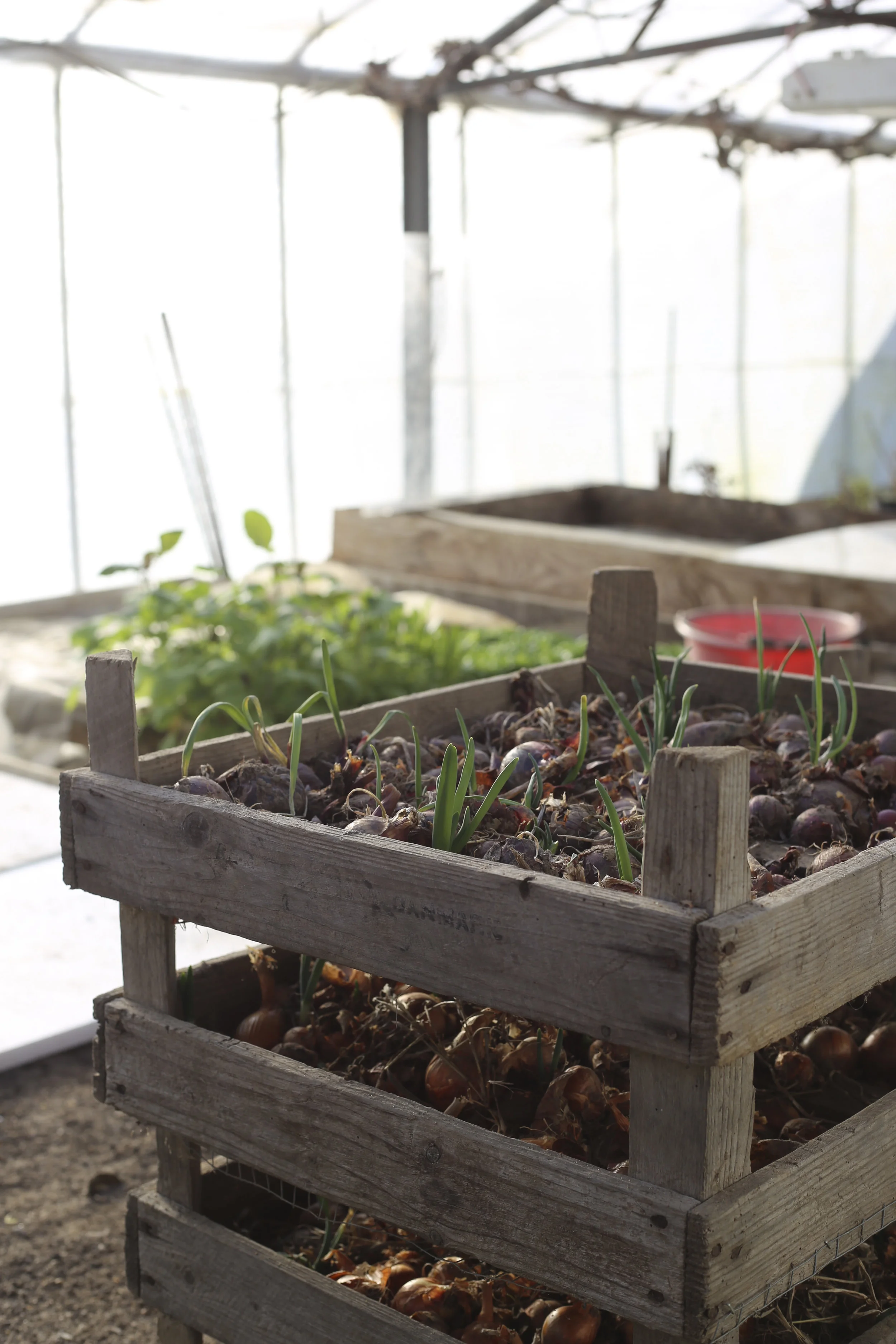 190220_masayo_bogedal_ediblelandscapte_vejle3102.jpg