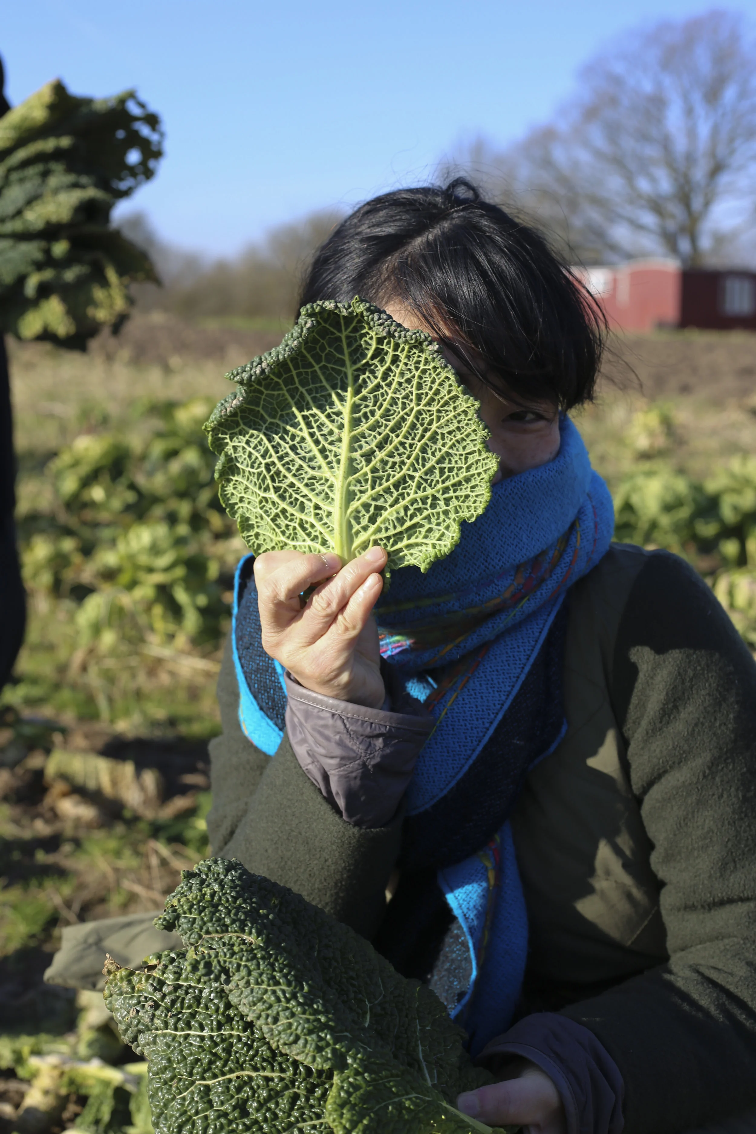 190220_masayo_bogedal_ediblelandscapte_vejle3132.jpg