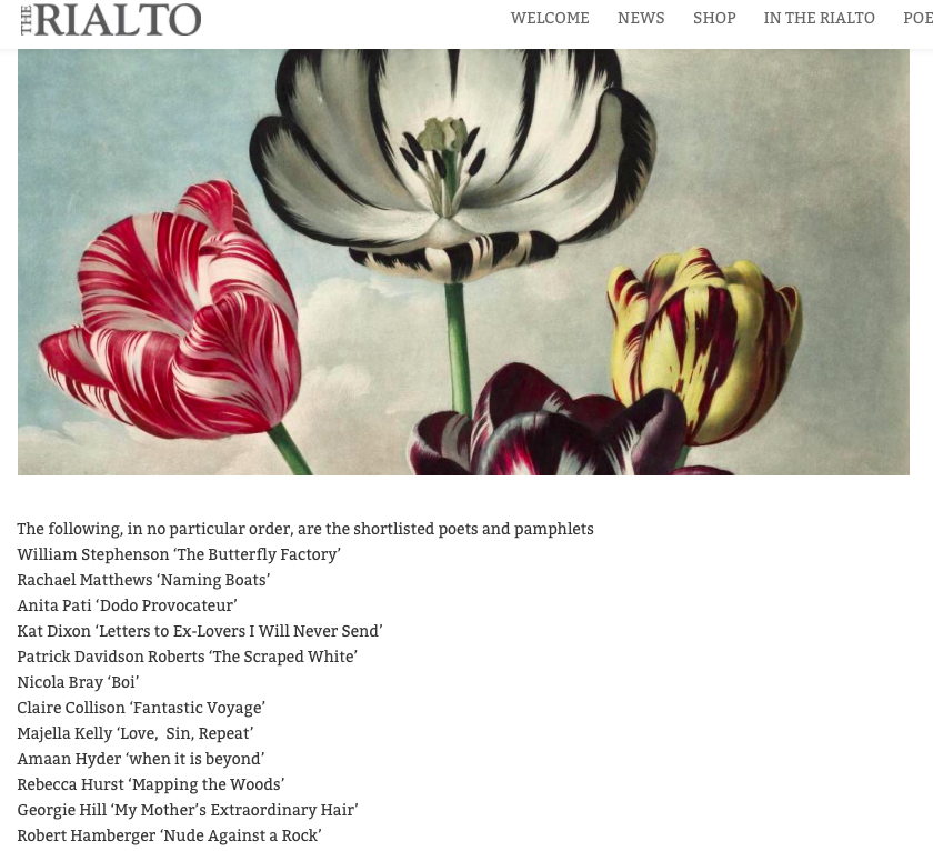 Screen Shot 2019-06-13 at 11.42.41.png