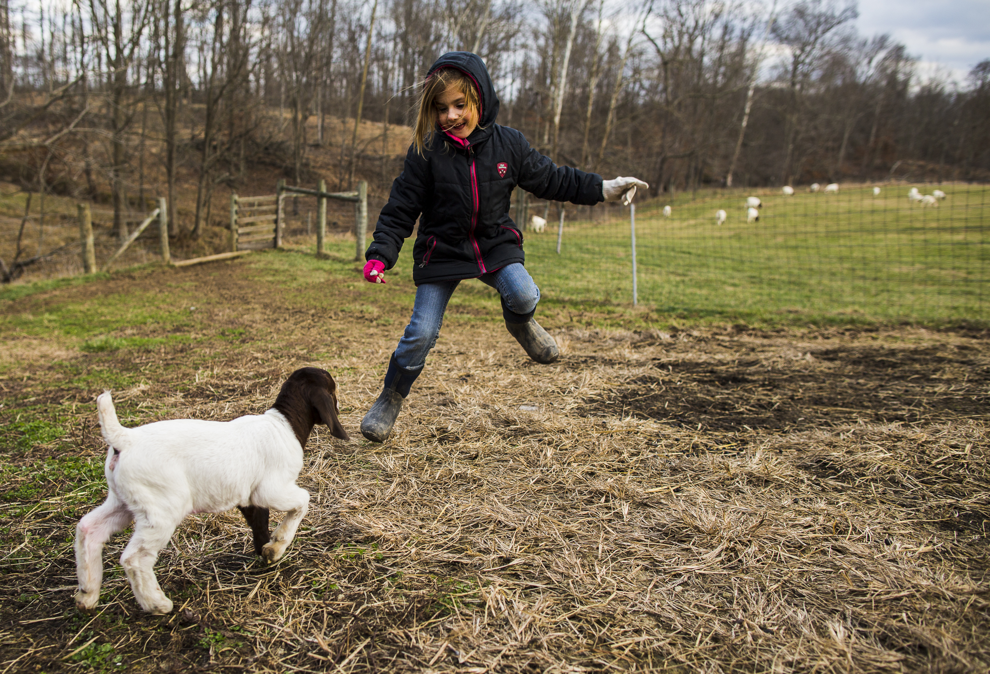  Emily plays with Grace, a preemie goat born about two weeks early.&nbsp; 