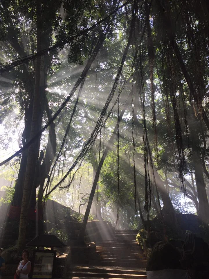 Sunrays.jpg