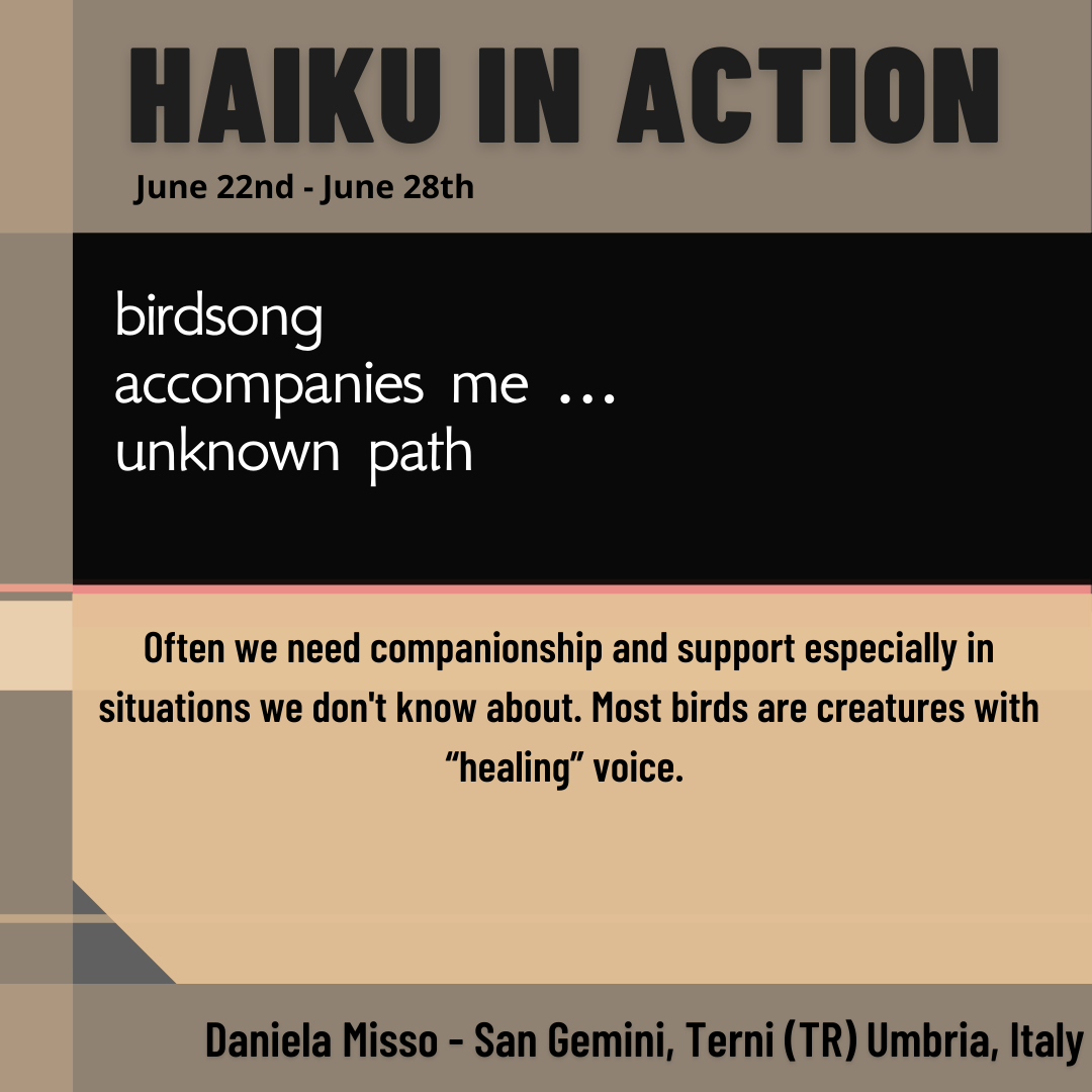 2021 Week 26 Haiku in Action 7.png