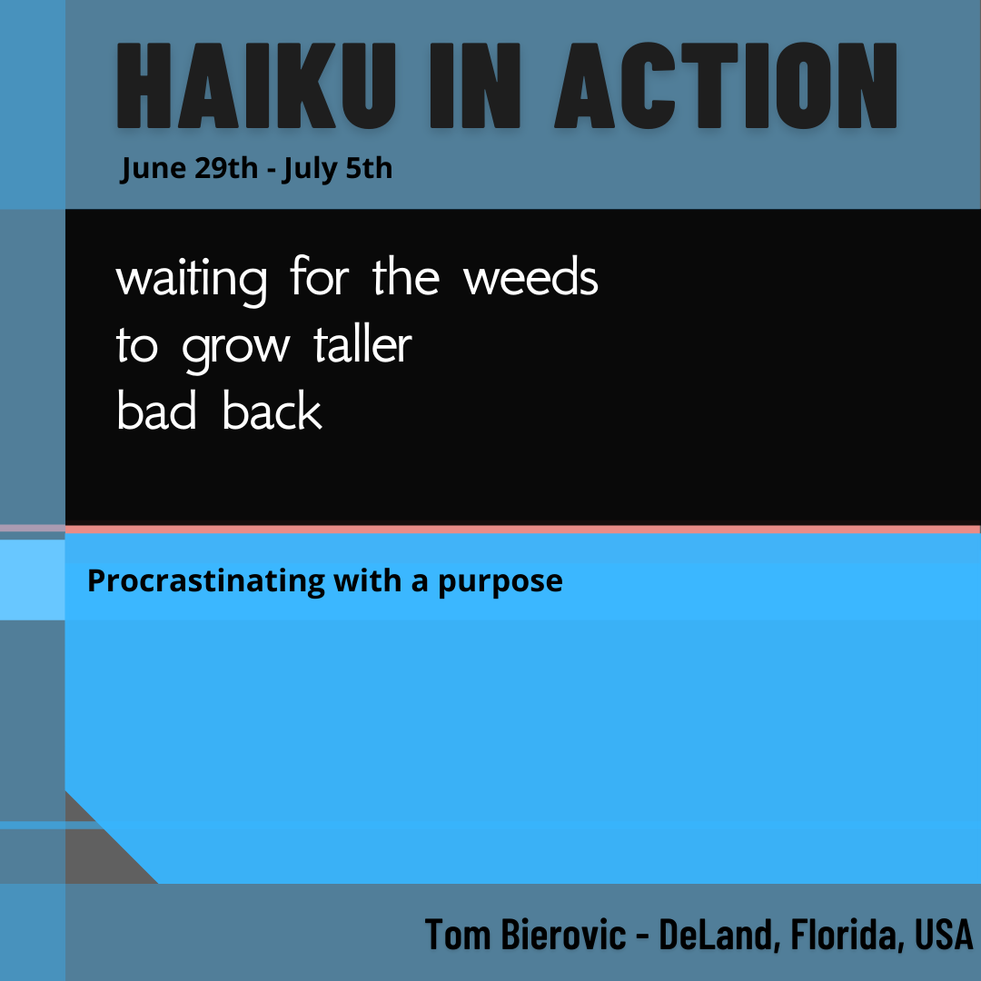 2021 Week 27  Haiku in Action.png
