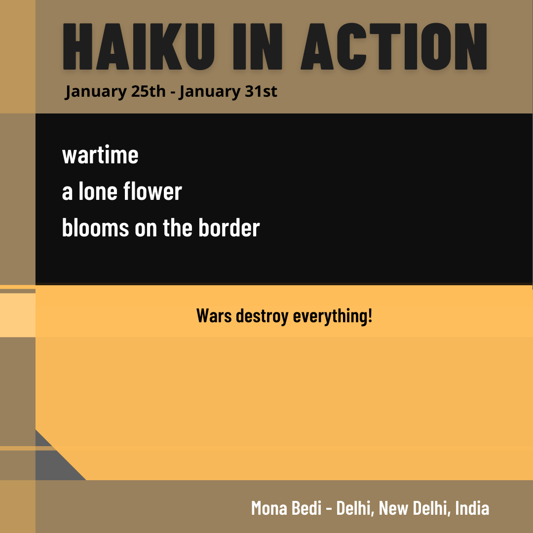 2022 Week 5 Haiku in Action (4).png