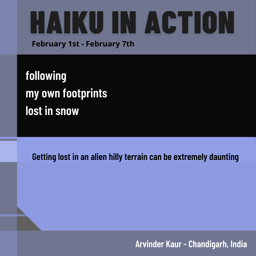 2022 Week 6 Haiku in Action (2).png