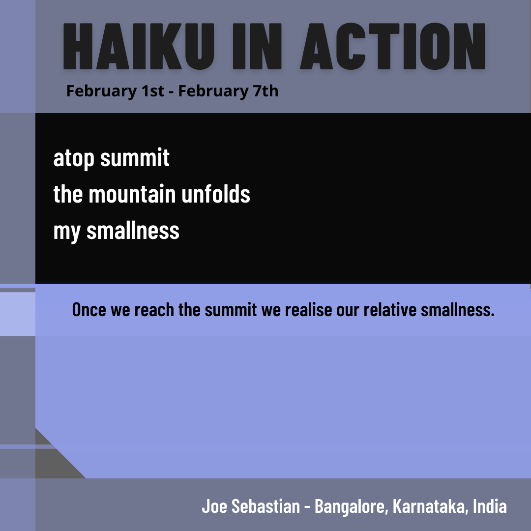 2022 Week 6 Haiku in Action (5).png