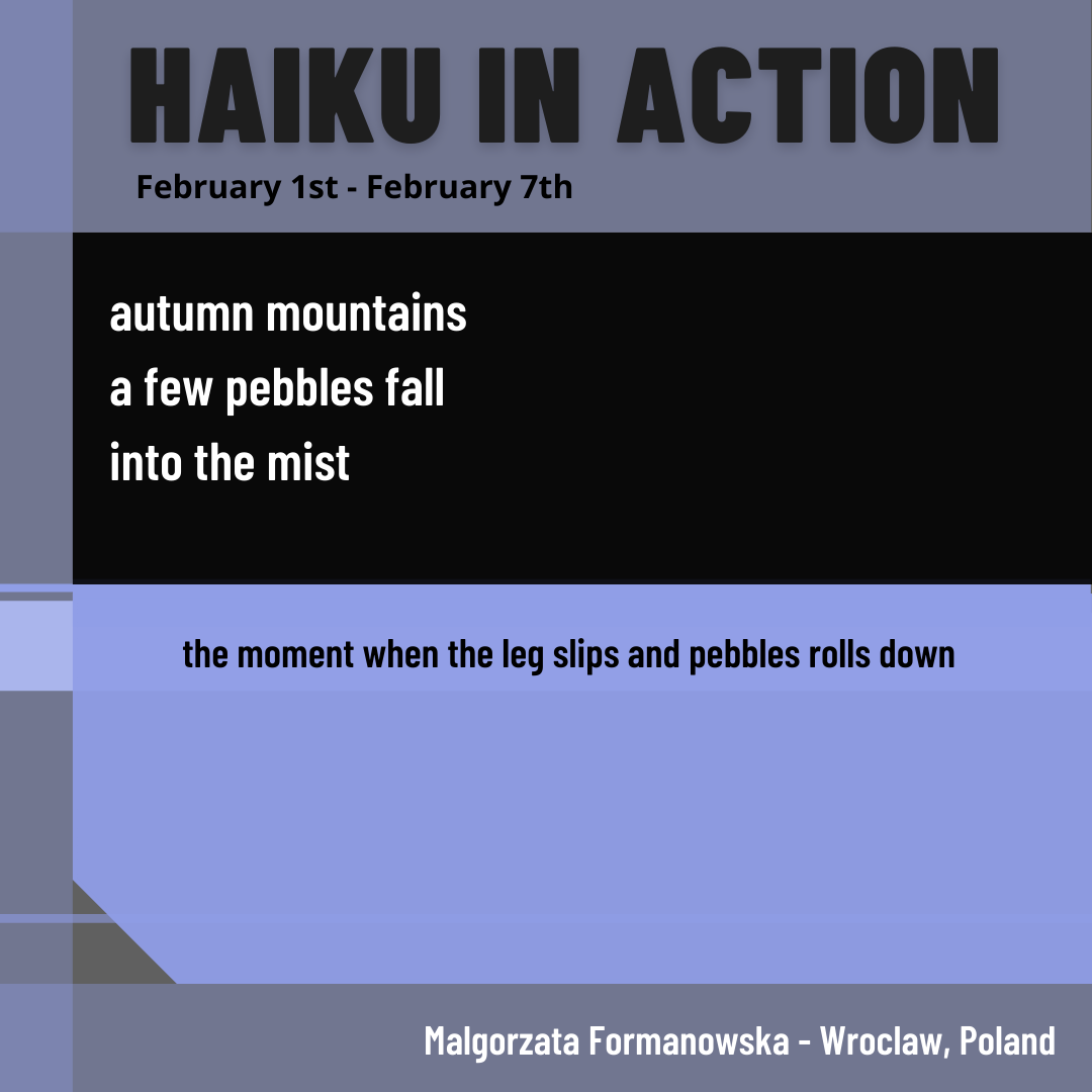 2022 Week 6 Haiku in Action (9).png