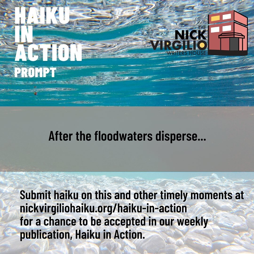 This week&rsquo;s Haiku in Action prompt is, &ldquo;after the floodwaters disperse&hellip;&rdquo; Submit your haiku via the form on nickvirgiliohaiku.org 

#haiku #haikupoetry #haikuoftheday #haikuofinstagram #poetry #poetsofinstagram #poetrycommunit