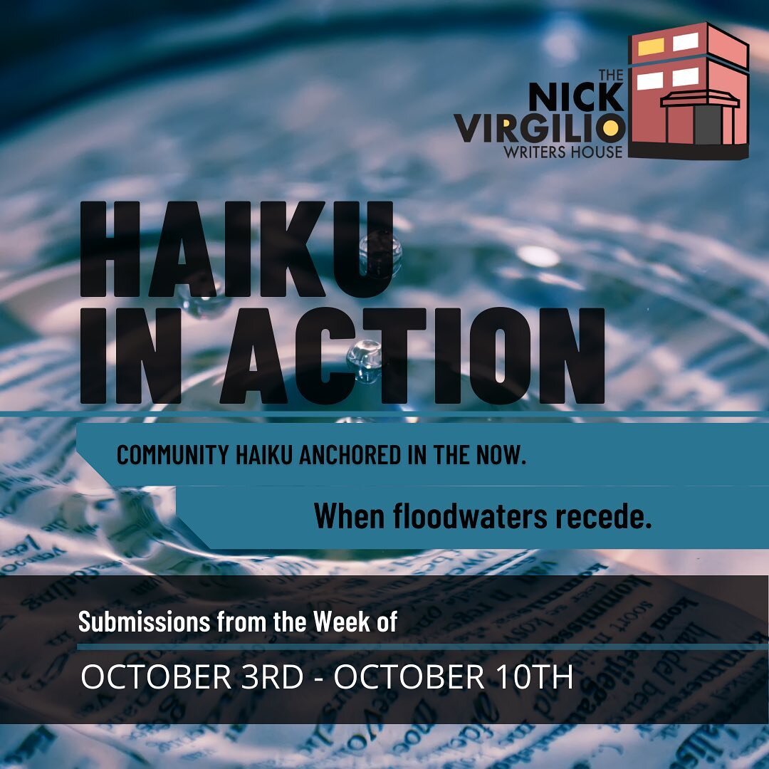 Welcome to our 37th rendition of Haiku in Action for the year 2022, where we explore the ravages of when floodwaters recede. Give these powerful poems a read and a share and then submit your own via nickvirgiliohaiku.org 

#haiku #haikupoetry #haikuo