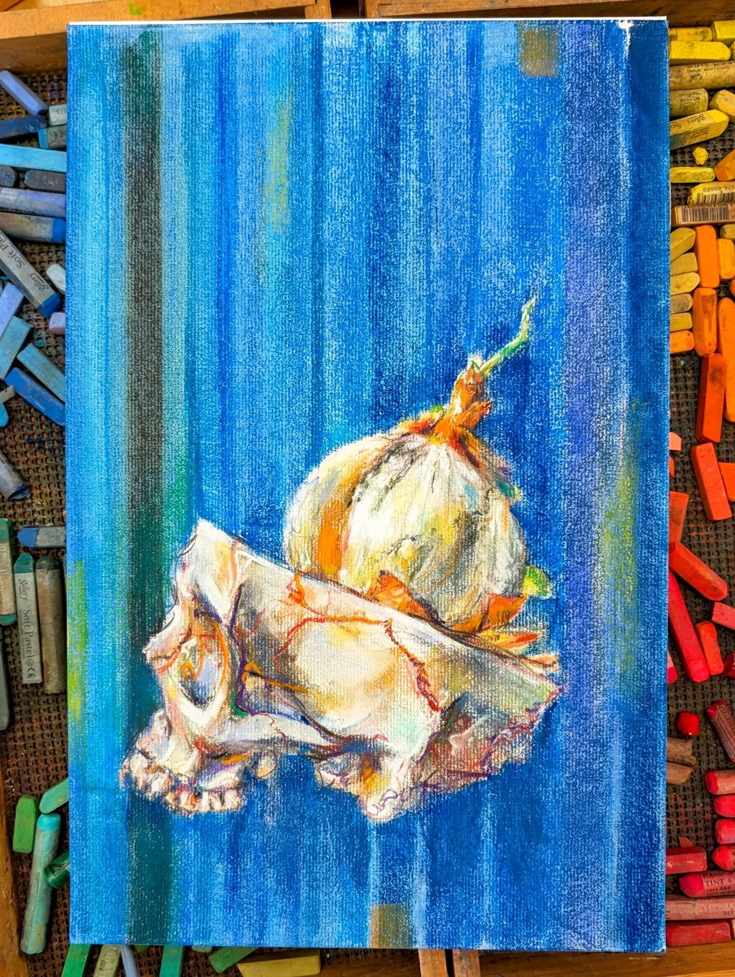 Onion Head - 11x17 - available!

#softpastel 
#stilllifeart 
#kitchendecoration