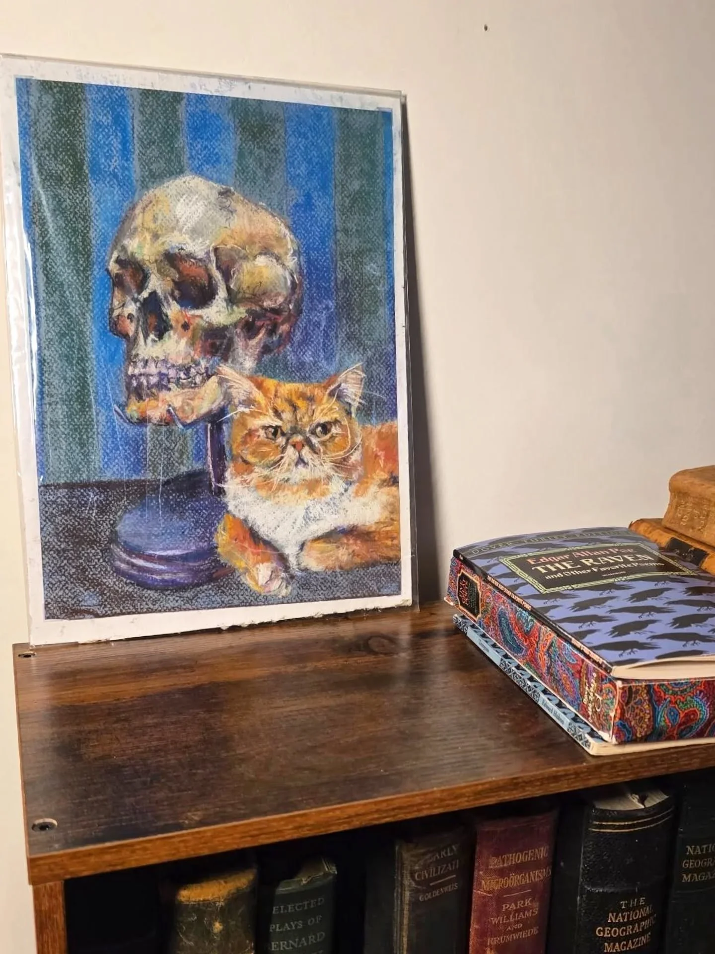 Collector photo moment! I've been blessed over the years to have homies support my work and show me how it sits in their homes or work places and it's the beautifullest thing.

Some of these pieces date back to 2022! Very happy to continue making the