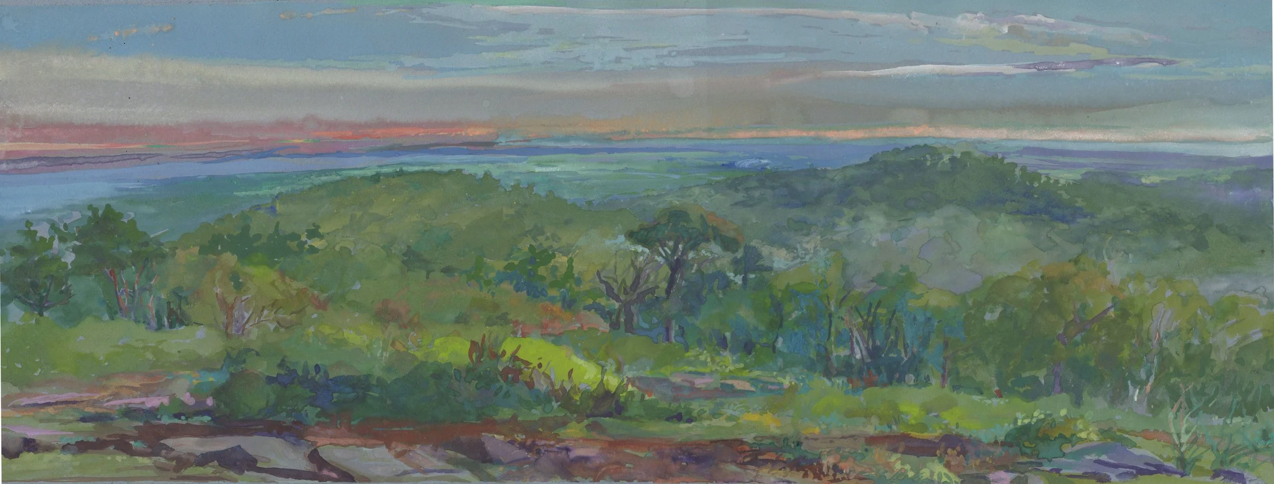Mountaintop Panorama, gouache 14" x 20" unframed, $810