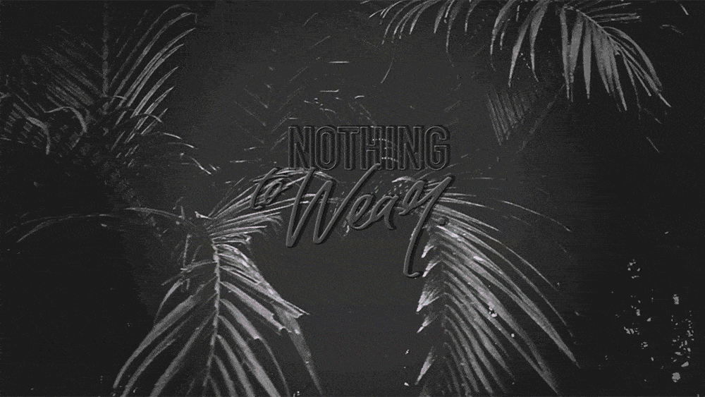 NTW-web-flash-banner 2.gif