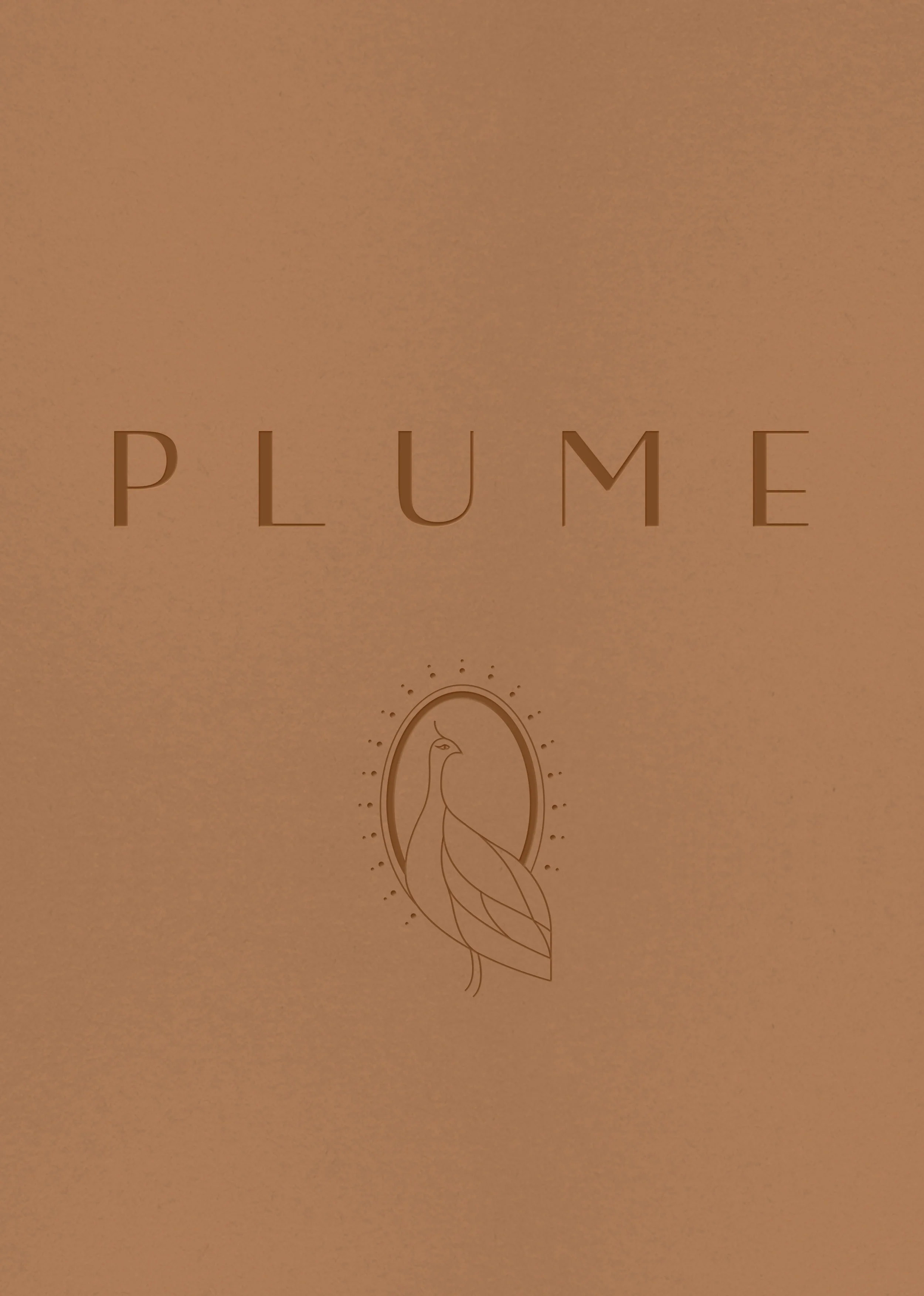 plume-logo-symbol-design-loolaadesigns.jpg
