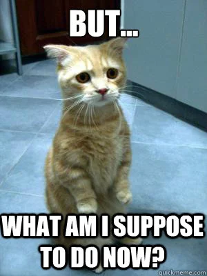 cat.jpg