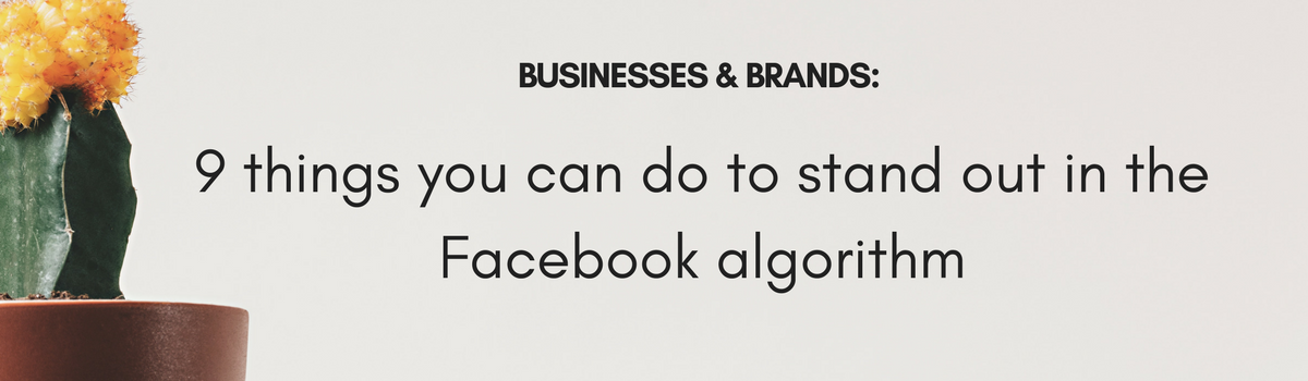 9 things your business or brand can do to stand out in the Facebook algorithm.png