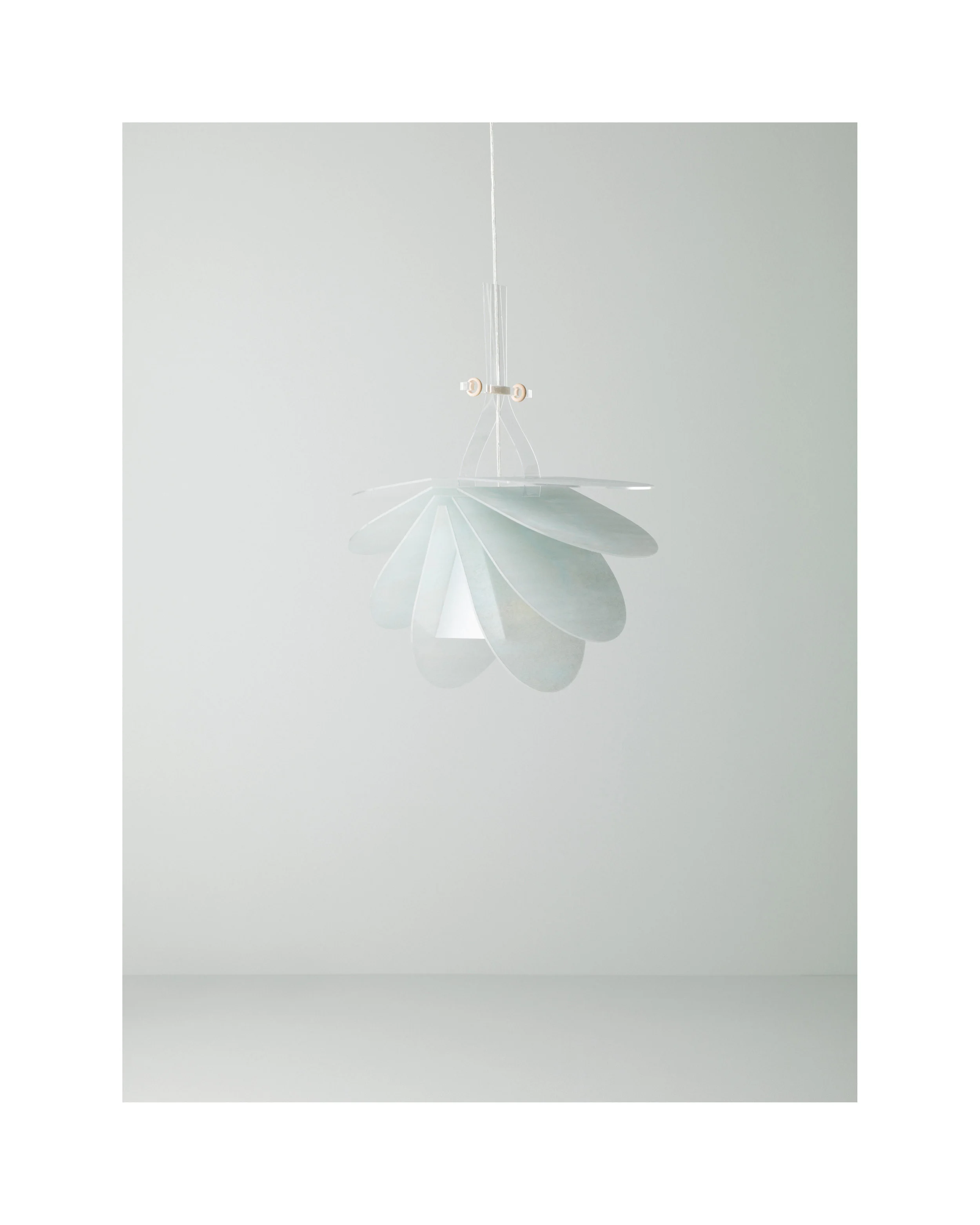 N / L lamp