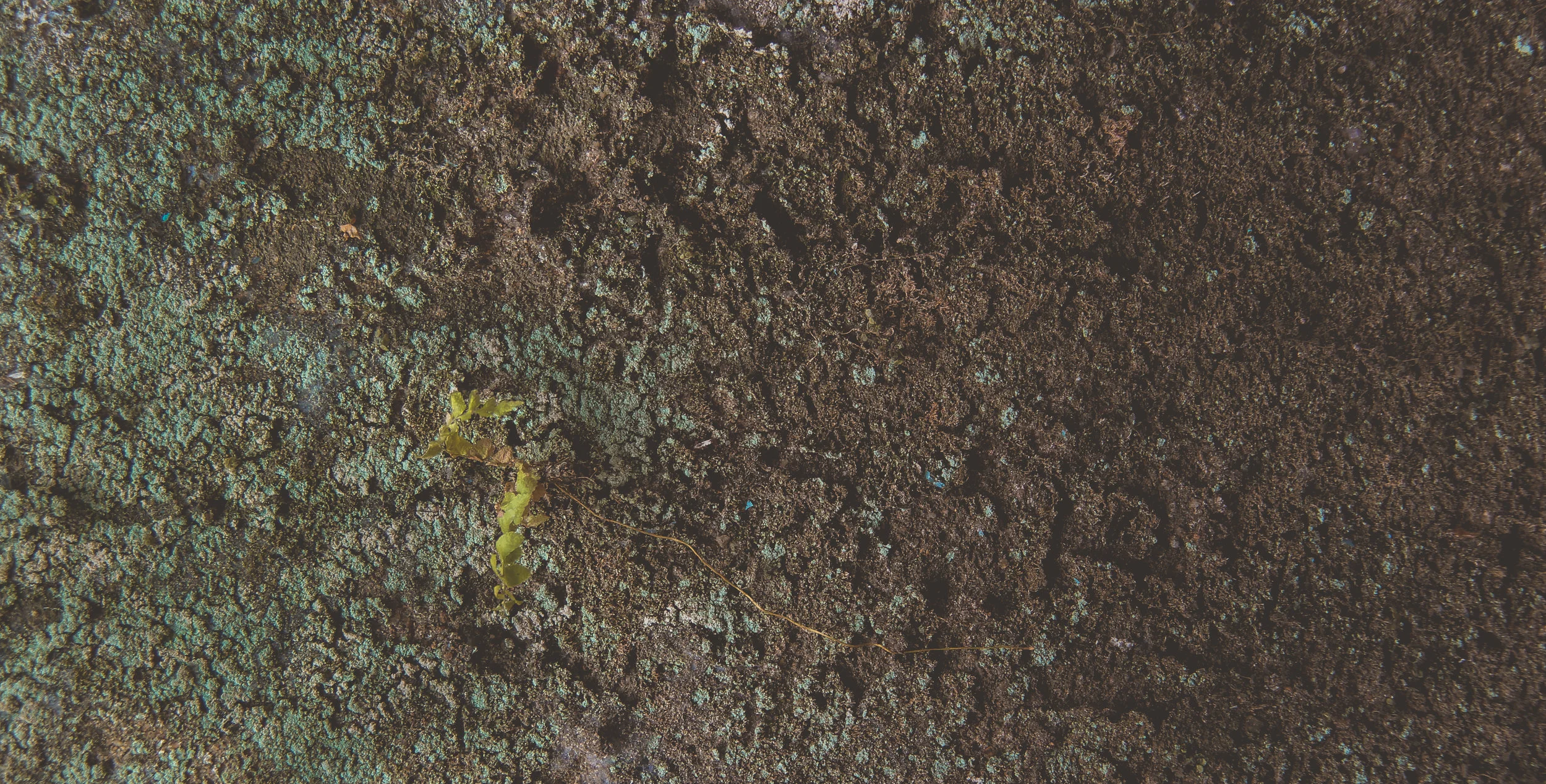 10-11 Pause centrale.jpg