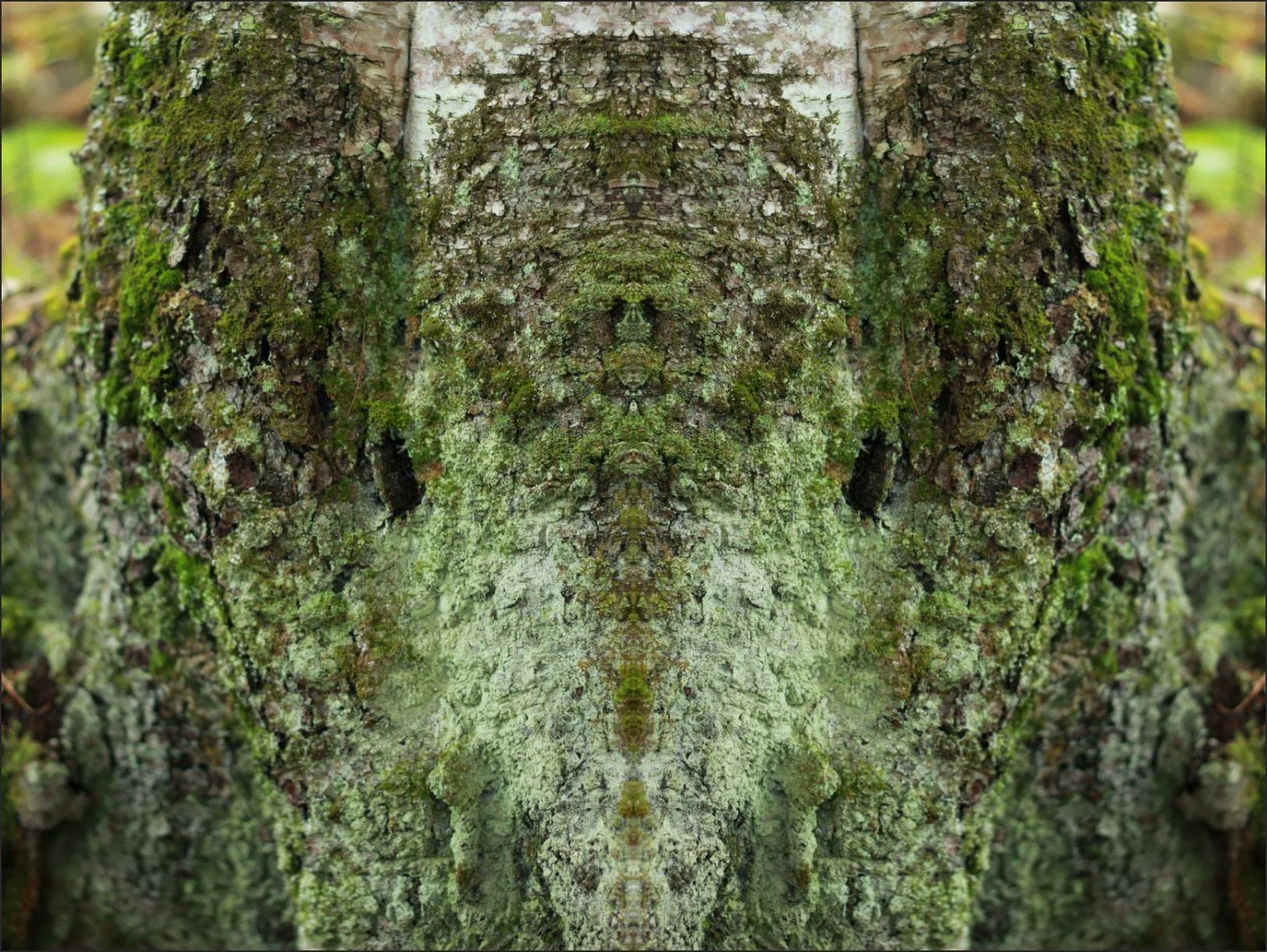 35151443_1558222241143932_5964702593291649024_n.jpg