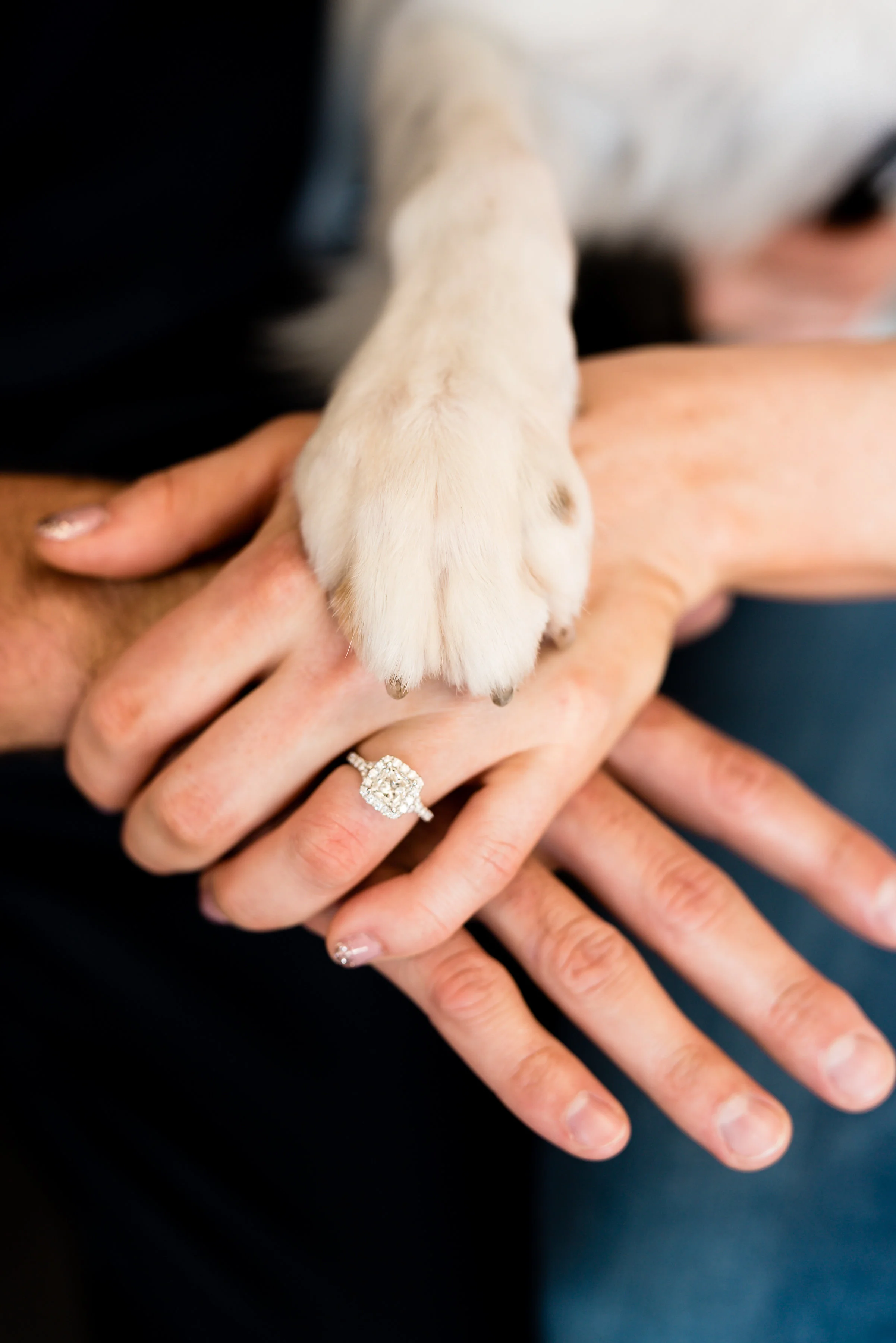 Casey&SarahEngagement(236of542).jpg