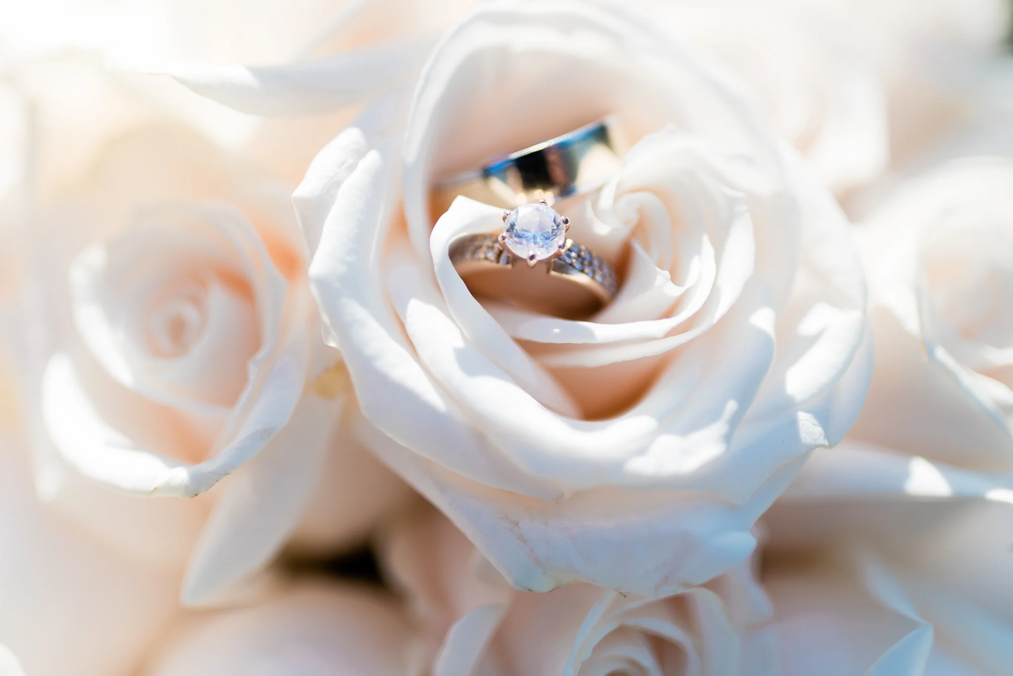 Alex + Viktoriya-120.jpg