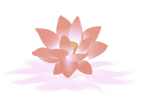 function form color