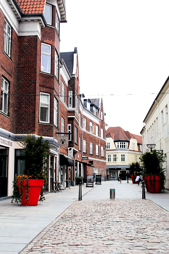 vejle5.jpg