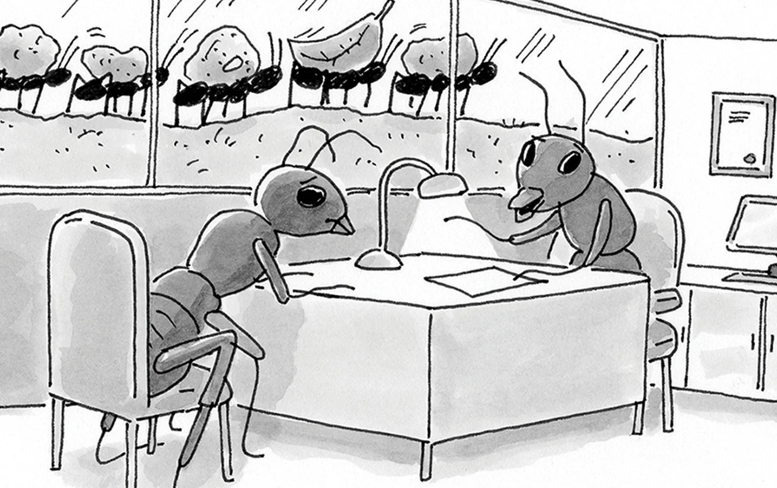 HR ant.jpg