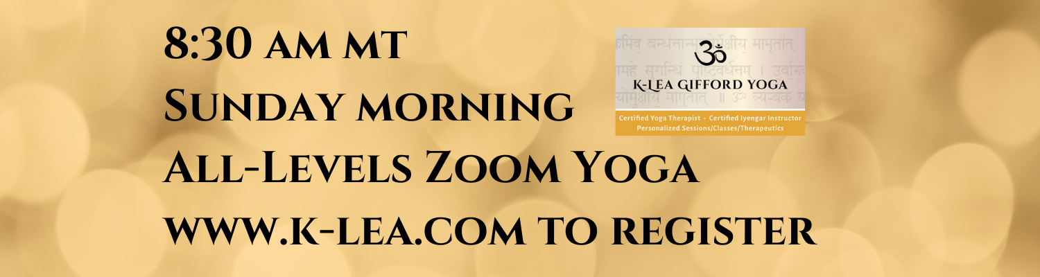 Banner Sunday Zoom Yoga  (1500 x 400 px).png