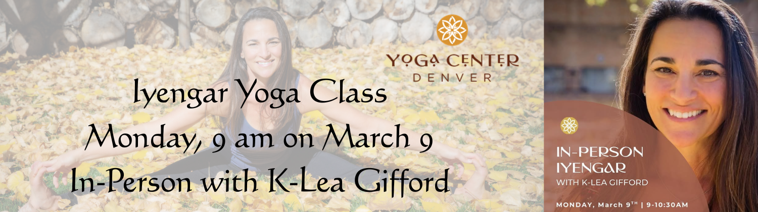 YCD Banner 2026 (1500 x 420 px).png