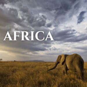 African Yoga Retreat