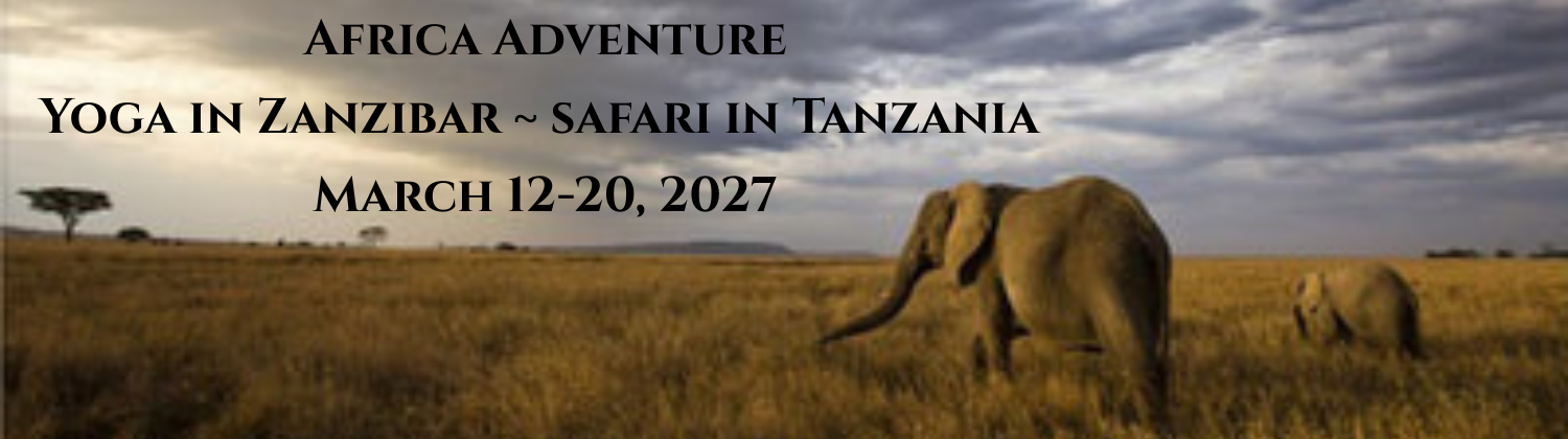 Banner AFRICA (1500 x 420 px).png