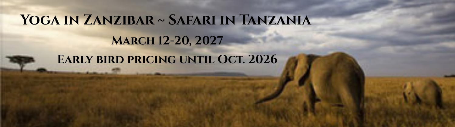 Banner AFRICA (1500 x 420 px).png