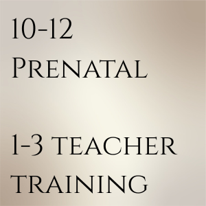 Prenatal Yoga Teacher training