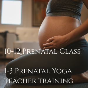 Prenatal Yoga Class and Prenatal Teacher Training